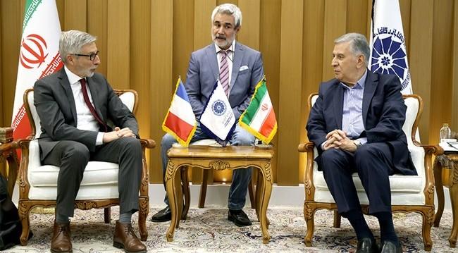 صمد حسن‌زاده تاکید کرد: توسعه همکاری‌های ایران و فرانسه در حوزه‌های غیرتحریمی نظیر کشاورزی، آب و دارو /سفیر فرانسه: نمی‌خواهیم تحریم‌ها پابرجا بماند