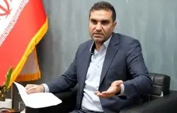  واردات خودرو باید با اراده دولت اجرایی شود/ قانون بدون پیگیری بی‌اثر است