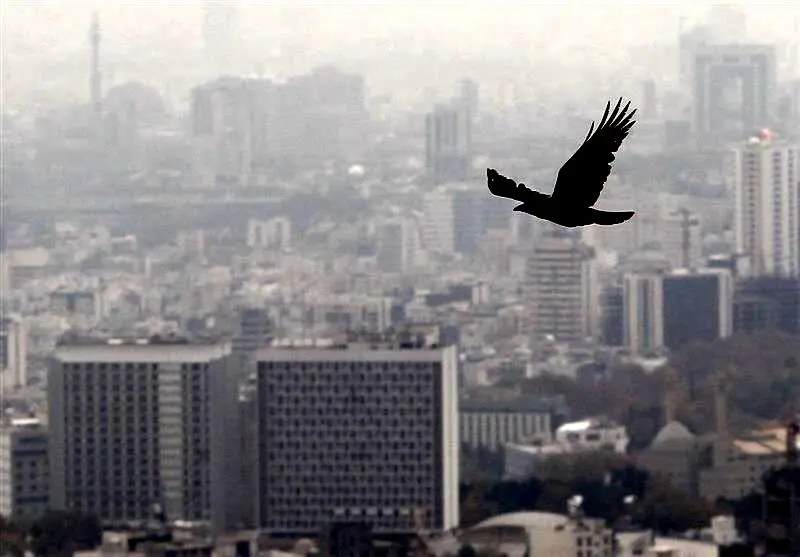 رکود تاریخی در بازار مسکن تهران؛ شاخص قیمت‌ها از کار افتاد