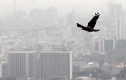 رکود تاریخی در بازار مسکن تهران؛ شاخص قیمت‌ها از کار افتاد