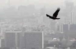 رکود تاریخی در بازار مسکن تهران؛ شاخص قیمت‌ها از کار افتاد