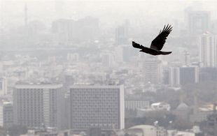 رکود تاریخی در بازار مسکن تهران؛ شاخص قیمت‌ها از کار افتاد