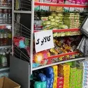 وزارت رفاه: مطالبات فروشگاه‌های کالابرگ تا ۲۵ تیر تسویه شد