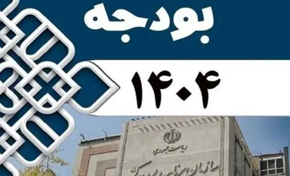 ضوابط اجرایی بودجه ۱۴۰۴ ابلاغ شد
