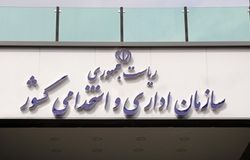 رایزنی با سران سه قوه برای کاهش فاصله حقوق بازنشستگان با کارمندان