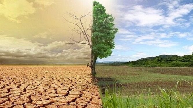 طرح‌های آبخیزداری و احیای منابع طبیعی با همکاری سازمان ملل اجرا می‌شود