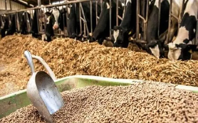 بازگشت توزیع نهاده‌های دامی به دولت؛ هشدار درباره فساد احتمالی