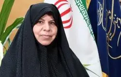 چرا سیاست‌های تشویقی جمعیت اثر نکرد؟ روایت دبیر ستاد ملی جمعیت