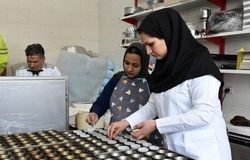  توسعه کارآفرینی، مسیر اصلی اشتغال پایدار و رونق بازار کار