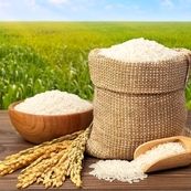 انحصار GTC؛ حذف بخش خصوصی و افزایش آشفتگی در بازار برنج