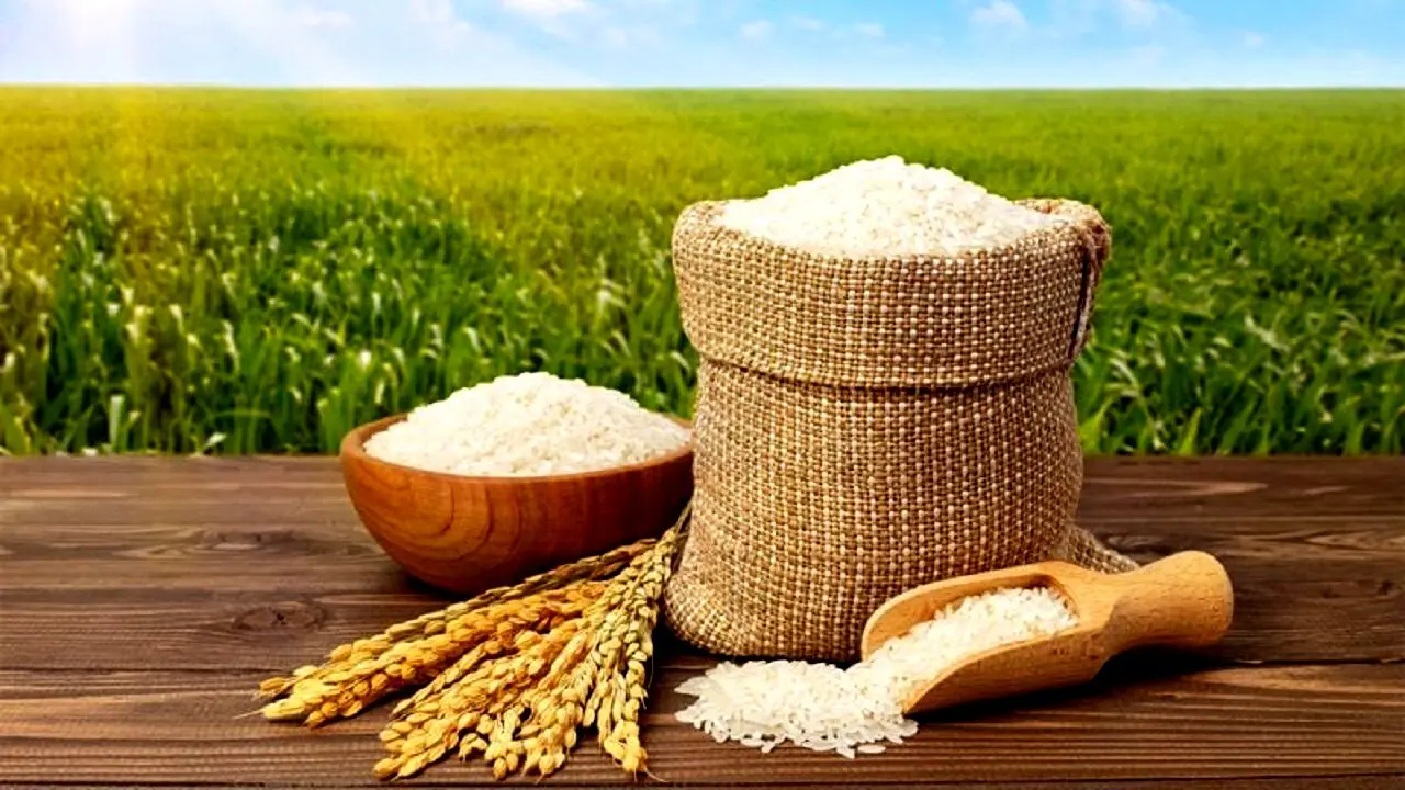 حذف بخش خصوصی و افزایش آشفتگی در بازار برنج