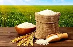 حذف بخش خصوصی و افزایش آشفتگی در بازار برنج