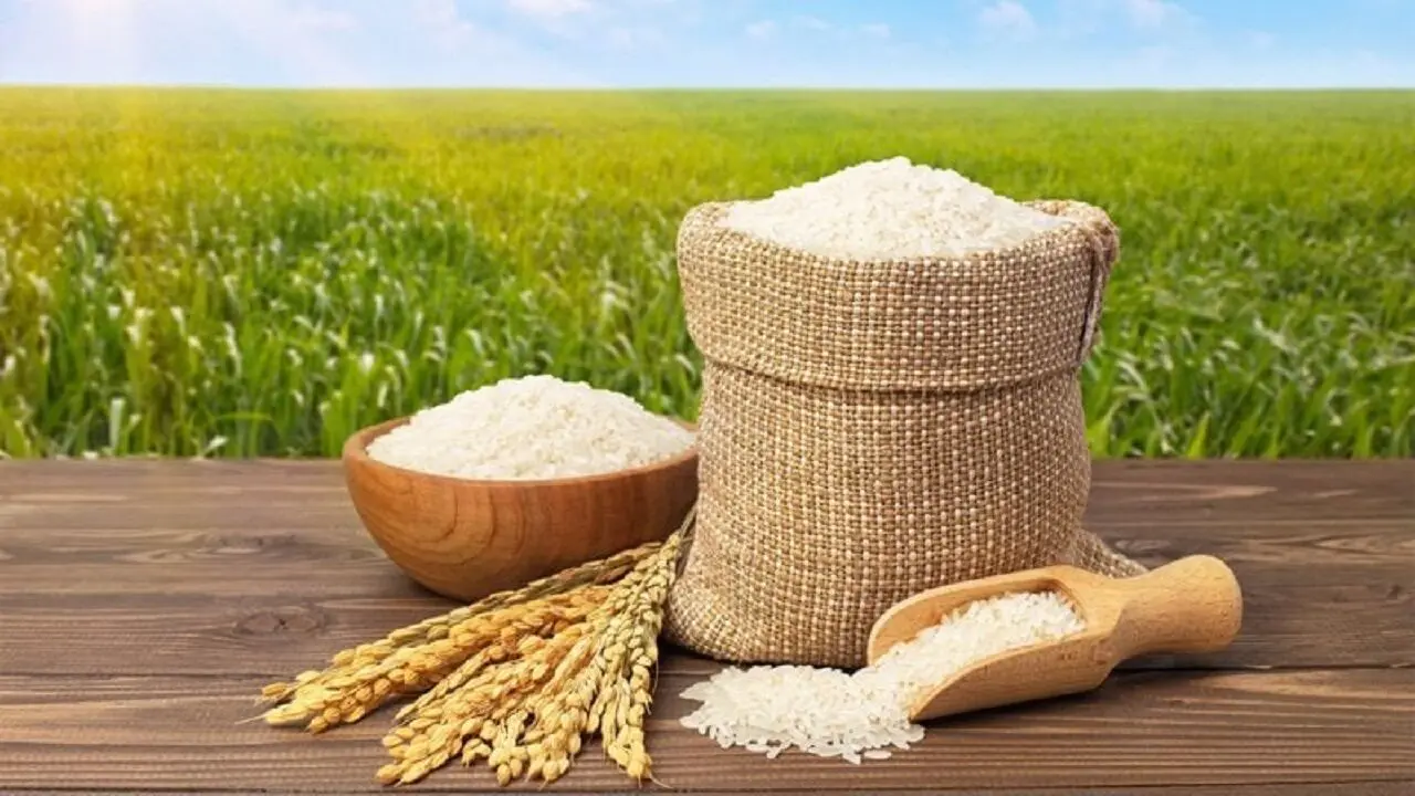 حذف بخش خصوصی و افزایش آشفتگی در بازار برنج