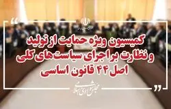 بررسی طرح‌های حمایت از تولید در کمیسیون ویژه اصل ۴۴