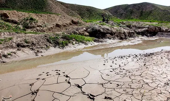 جنگل‌کاری تا ۳۵ برابر سرعت نفوذ آب در خاک را افزایش می‌دهد