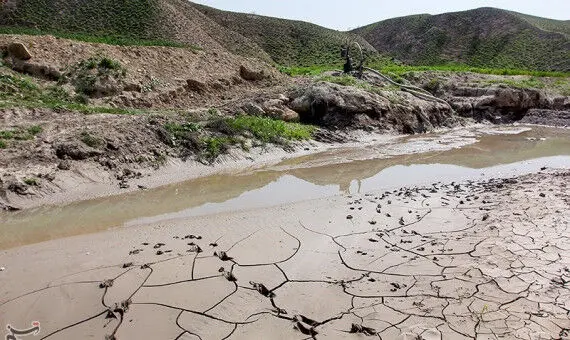 جنگل‌کاری تا ۳۵ برابر سرعت نفوذ آب در خاک را افزایش می‌دهد