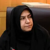 مجلس: هیچ خلأ قانونی برای مهار نرخ ارز وجود ندارد