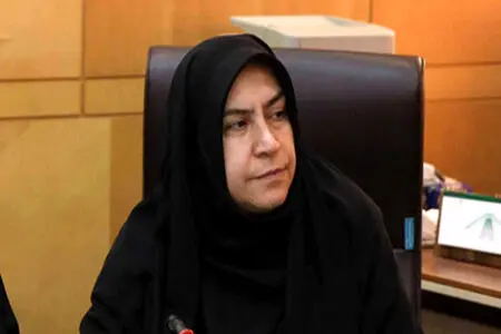 مجلس: هیچ خلأ قانونی برای مهار نرخ ارز وجود ندارد