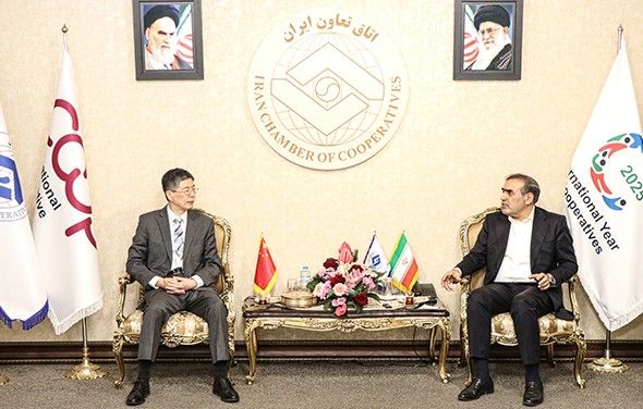 ​تاکید ایران و چین بر تشکیل کمیته مشترک تعاونی و توسعه همکاری‌های اقتصادی 