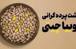 لوبیا چیتی سه برابر شد؛دلیل گرانی گوشت، صادرات و ضعف مدیریت ذخایر است