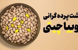 لوبیا چیتی سه برابر شد؛دلیل گرانی گوشت، صادرات و ضعف مدیریت ذخایر است