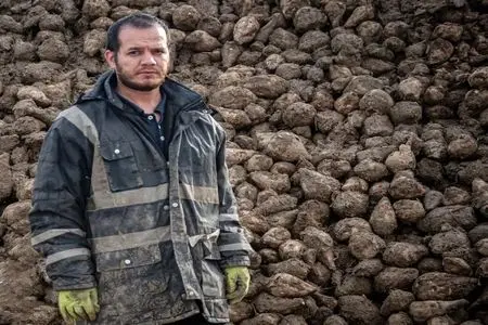  شورایعالی کار باید در شرایط جنگی به کمک بنگاه‌های اقتصادی آسیب‌دیده بشتابد