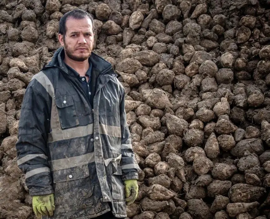  شورایعالی کار باید در شرایط جنگی به کمک بنگاه‌های اقتصادی آسیب‌دیده بشتابد