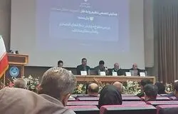 تولایی: تعیین دستمزد در اقتصاد تورمی کارآمد نیست/ مزد منطقه‌ای باید به‌صورت پایلوت اجرا شود