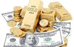 دلار و سکه در مسیر بی‌قانونی/ بازار چشم‌انتظار مداخله فوری بانک مرکزی