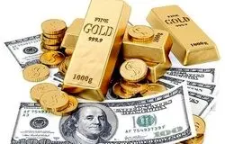 دلار و سکه در مسیر بی‌قانونی/ بازار چشم‌انتظار مداخله فوری بانک مرکزی