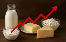 تب برفکی مقصر گرانی لبنیات نیست؛ هزینه تولید و قدرت خرید مردم عامل اصلی