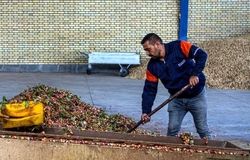 تولید خوراک دام و طیور از ضایعات کشاورزی؛ طرح ارتقای دانش کشاورزان در دو استان اجرا شد