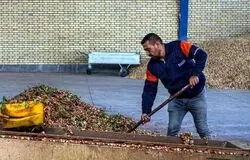 تولید خوراک دام و طیور از ضایعات کشاورزی؛ طرح ارتقای دانش کشاورزان در دو استان اجرا شد