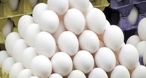 پیشنهاد درج دو نرخ روی بسته‌های تخم‌مرغ برای شفافیت بیشتر در بازار