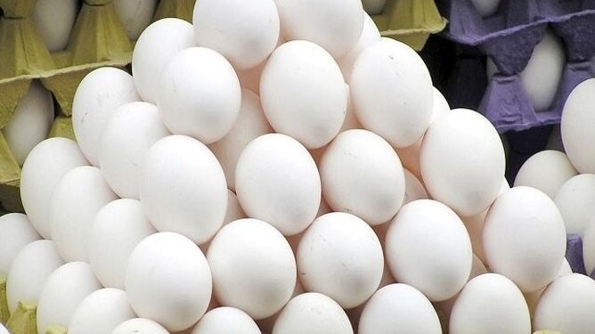 پیشنهاد درج دو نرخ روی بسته‌های تخم‌مرغ برای شفافیت بیشتر در بازار