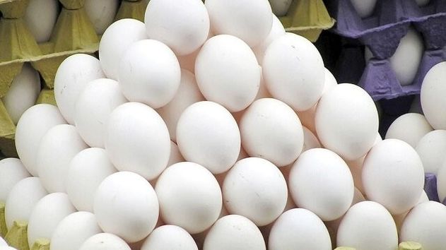 پیشنهاد درج دو نرخ روی بسته‌های تخم‌مرغ برای شفافیت بیشتر در بازار