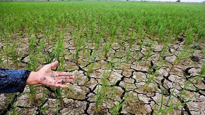 تداوم خشکسالی در برخی استان‌ها/ کاهش 40 درصدی بارش