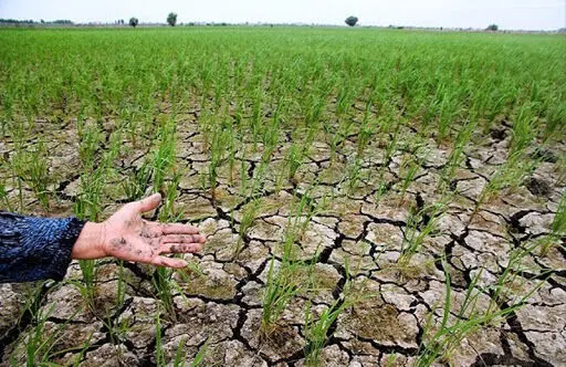 تداوم خشکسالی در برخی استان‌ها/ کاهش 40 درصدی بارش