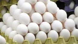 فاجعه در صنعت تخم‌مرغ/هزینه‌های نجومی و وام‌های ۱۱۰ درصدی