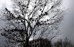 رئیس سازمان هواشناسی: پاییز امسال کم‌بارش‌ترین در ۴۰ سال گذشته است