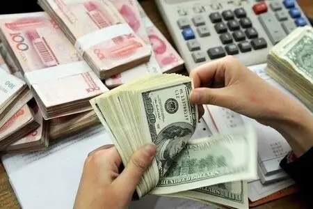 تقاضا برای اسکناس ارز کمتر از انتظار؛ فقط ۲۰ میلیون دلار خریداری شد