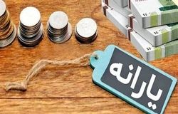 حذف یارانه ۱۸ میلیون نفر و ابهام در هزینه‌کرد منابع حاصل از یارانه‌زدایی