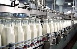 احتمال جهش قیمت لبنیات با حذف ارز ترجیحی نهاده‌های دامی در بودجه ۱۴۰۵