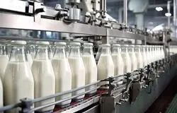 احتمال جهش قیمت لبنیات با حذف ارز ترجیحی نهاده‌های دامی در بودجه ۱۴۰۵