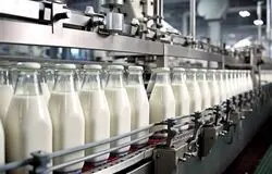 احتمال جهش قیمت لبنیات با حذف ارز ترجیحی نهاده‌های دامی در بودجه ۱۴۰۵