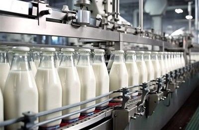 احتمال جهش قیمت لبنیات با حذف ارز ترجیحی نهاده‌های دامی در بودجه ۱۴۰۵