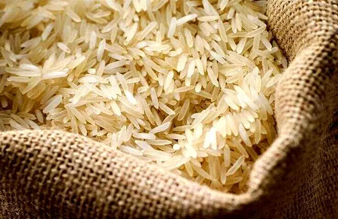  تشریح 7 معضل جدی صنعت برنج