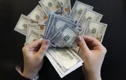 حذف ارز ترجیحی؛ جراحی اقتصادی ناکارآمد یا تصمیمی اجتناب‌ناپذیر؟
