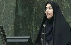 نوسانات ارز ریشه اقتصادی ندارد/بازار با خبر سیاسی می‌لرزد