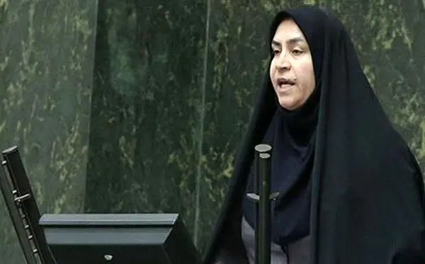 نوسانات ارز ریشه اقتصادی ندارد/بازار با خبر سیاسی می‌لرزد